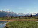 View from Animal Sanctuary View from Animal Sanctuary