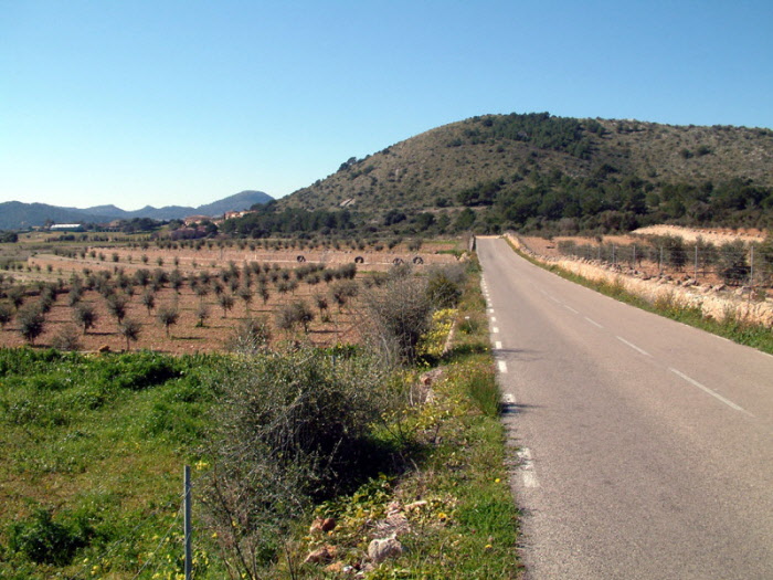 Arta to Badia d Arta