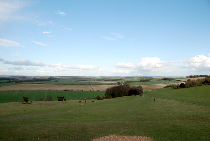 Danebury