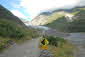 Fox Glacier