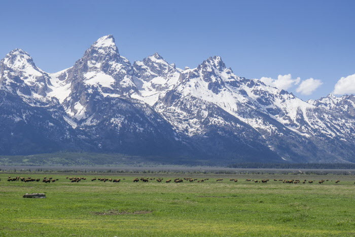 Grand Teton NP