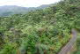 Driving Creek Railway