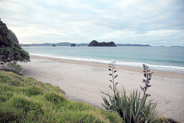 Hahei Beach