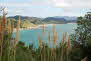 Kuaotunu Beach