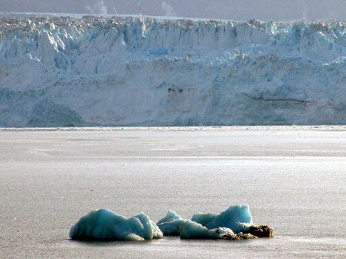 Hubbard Glacier P5/11