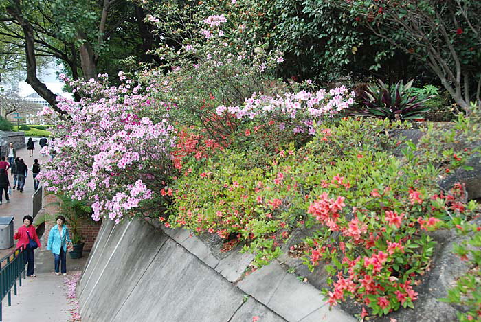Kowloon Park