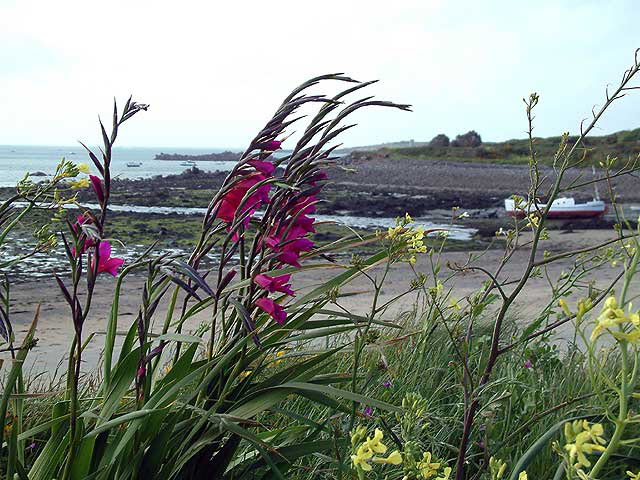 Le Grand Harve