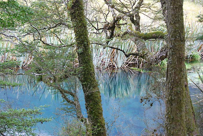 Te Anau - Milford Sound