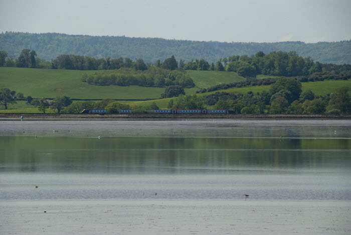 Main Line
