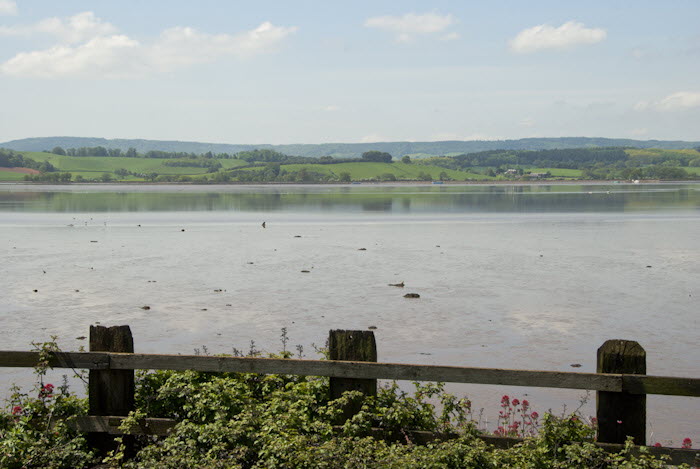 River Exe