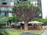 Santa Cruz - Parque Municipal Garcia Sanabria