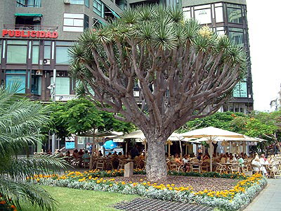 Santa Cruz - Parque Municipal Garcia Sanabria