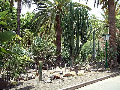 Santa Cruz - Parque Municipal Garcia Sanabria
