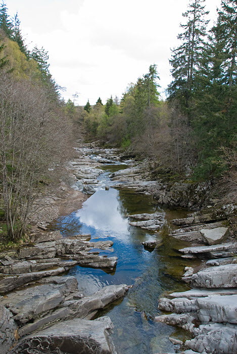 Calvine