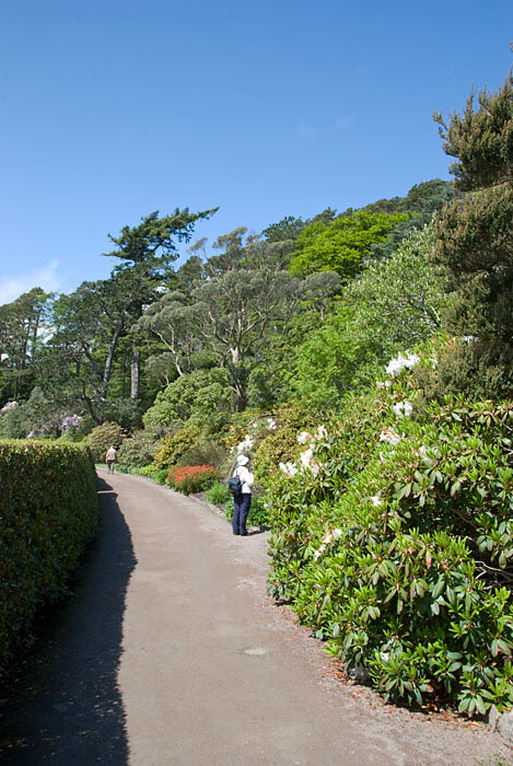 Inverewe Garden