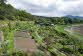Inverewe Garden
