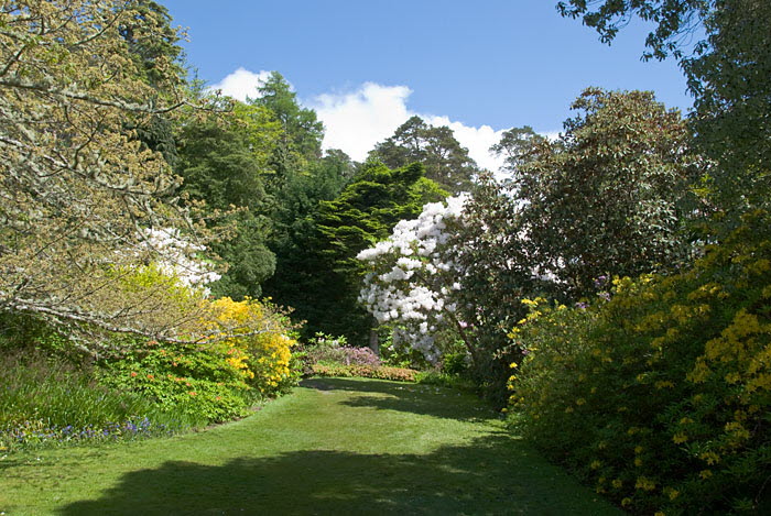 Inverewe Garden