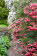 Inverewe Garden