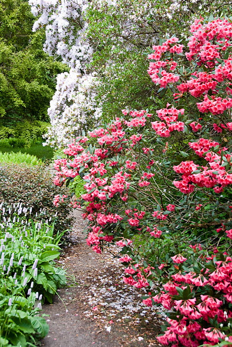 Inverewe Garden