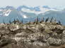 Seward - Resurrection Bay
