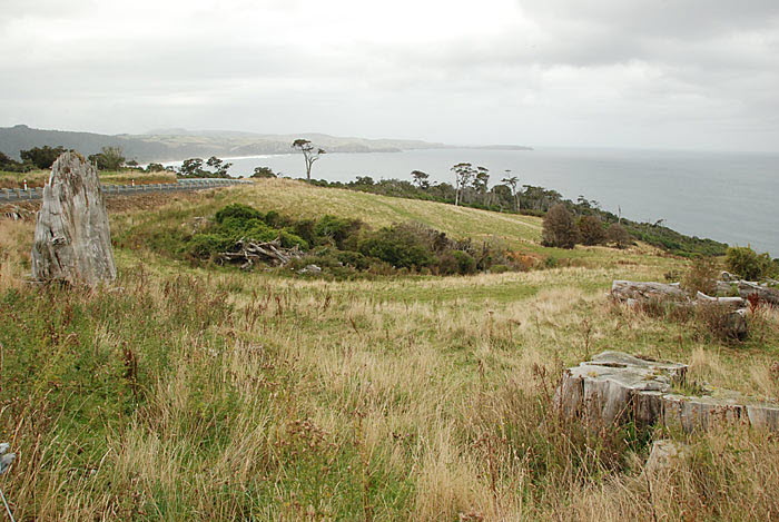Southlands - Petrified Forest
