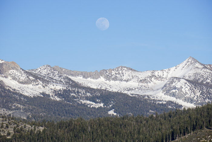 Yosemite NP