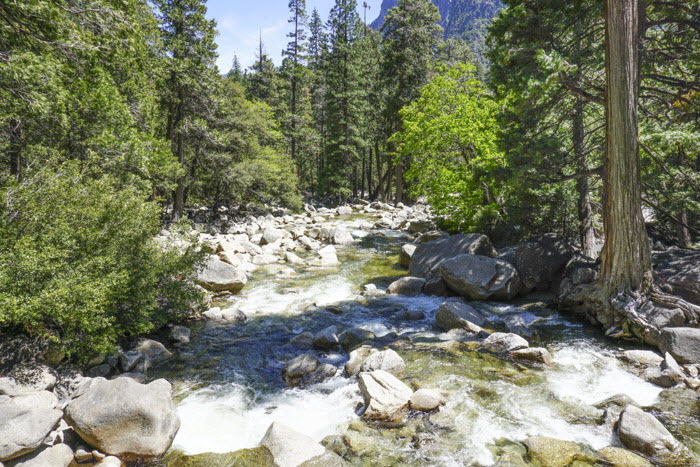 Yosemite NP