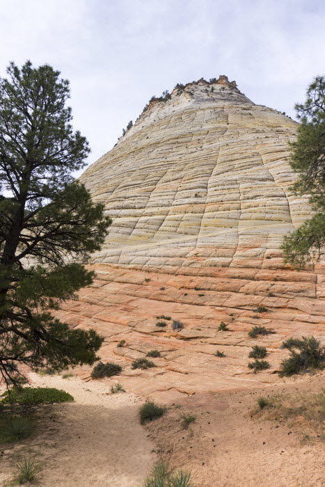 Zion NP