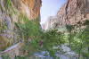 Zion NP